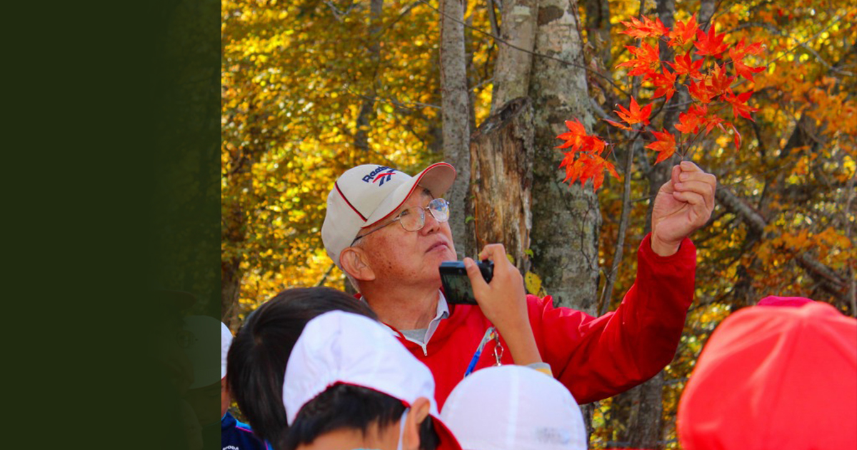 Expert of the forest in Taiki town