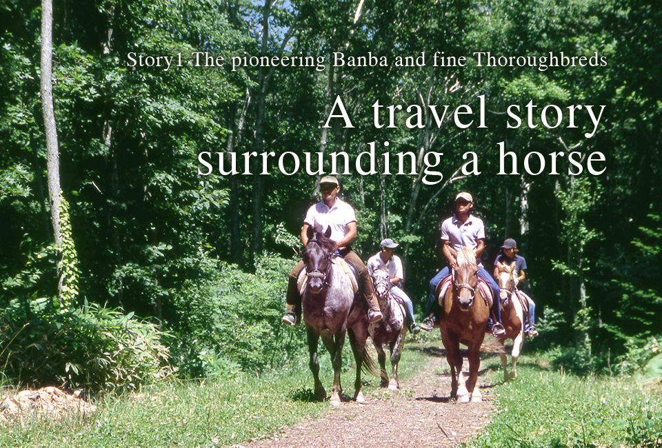 Story1 A travel story surrounding a horse