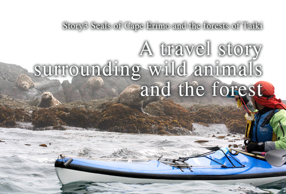 Story3 A travel story surrounding wild animals and the forest