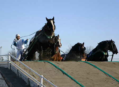 Banei Tokachi (Obihiro Horse Racetrack)
