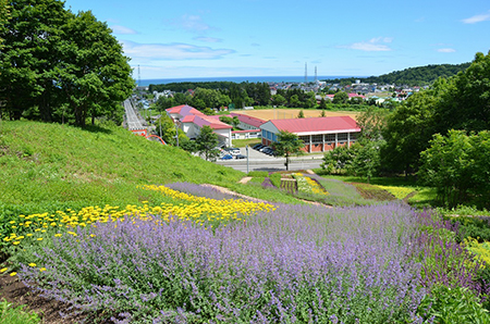 Daimaruyama Forestry Park (Hiroo town)