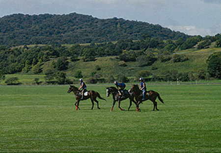 JRA Hidaka Training Farm