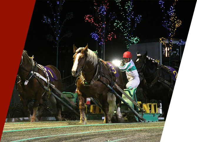 Banei Tokachi (Obihiro Horse Racetrack)