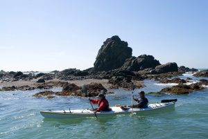 アザラシウォッチクリフカヤックス①