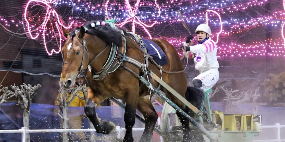 ばんえい競馬