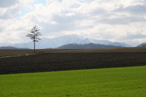 新札内丘陵農地