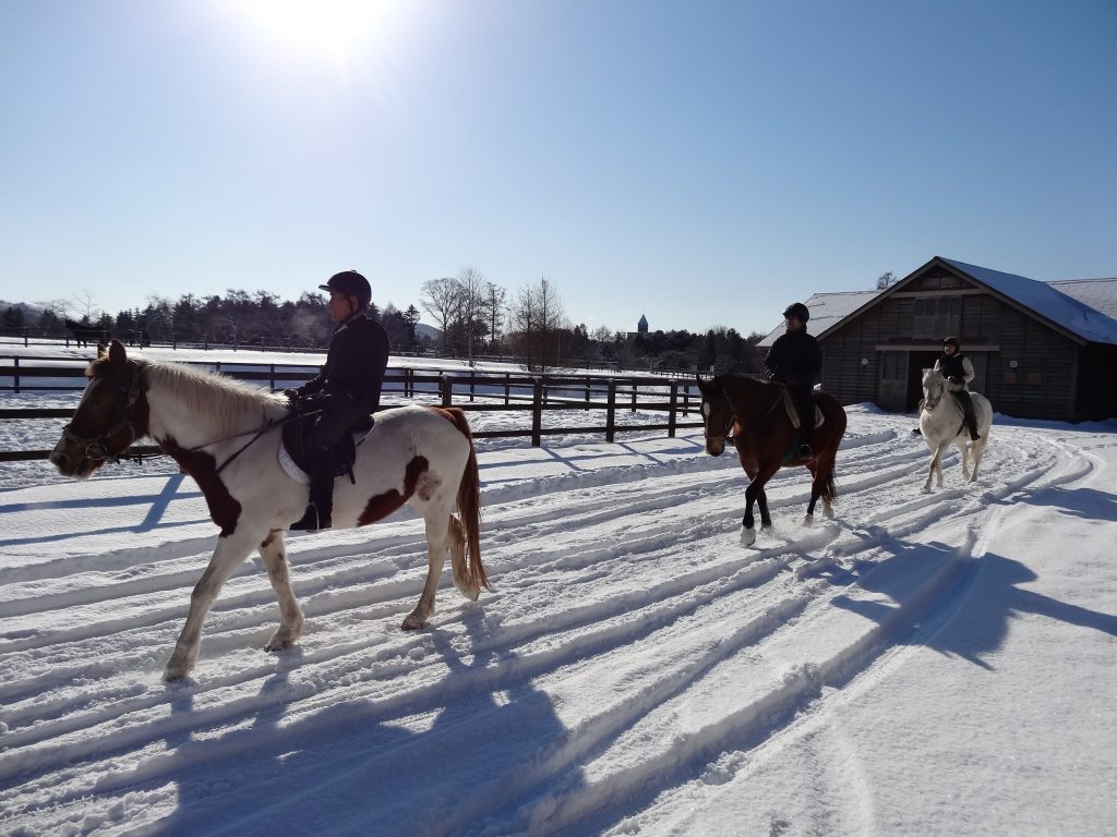 雪上乗馬